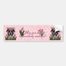 Mothers Day - Pink Tulips - Boxer Bumper Stickers