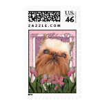 Mothers day - Pink Tulips - Brussels Griffon postage
