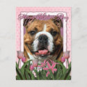 Mothers Day - Pink Tulips - Bulldog Postcards