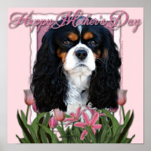 Mothers Day - Pink Tulips - Cavalier - Tri-Color Print