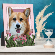 Mothers Day - Pink Tulips - Corgi - Owen Photo Plaques