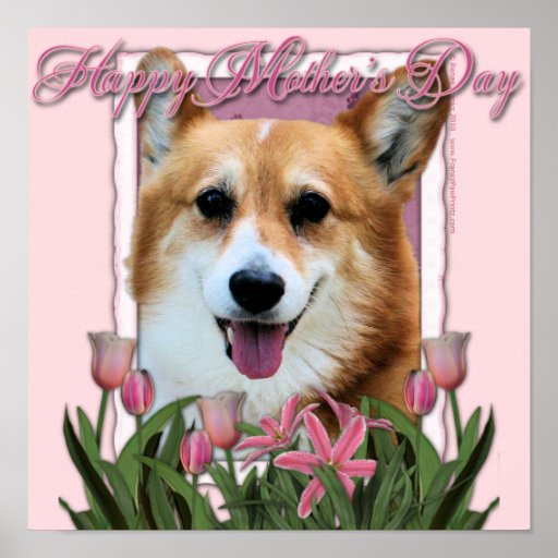 Mothers Day - Pink Tulips - Corgi - Owen Posters