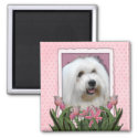 Mothers Day - Pink Tulips - Coton de Tulear Refrigerator Magnets