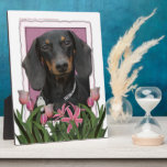 Mothers Day - Pink Tulips - Dachshund - Winston Photo Plaques