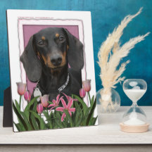 Mothers Day - Pink Tulips - Dachshund - Winston Photo Plaques