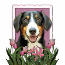 Mothers Day - Pink Tulips Entlebucher Mountain Dog Cut Outs