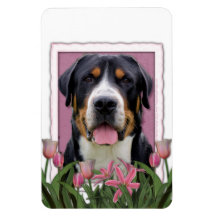 Mothers Day Pink Tulips Greater Swiss Mountain Dog Vinyl Magnet