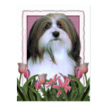 Mothers Day - Pink Tulips - Havanese Post Card
