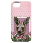 Mothers Day - Pink Tulips - Kangaroo iPhone 5 Case