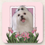 Mothers Day - Pink Tulips - Maltese Beverage Coasters