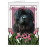 Mothers Day - Pink Tulips - Newfoundland Card