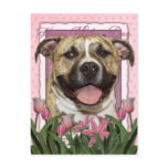 Mothers Day - Pink Tulips - Pitbull - Tigger Postcards