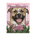 Mothers Day - Pink Tulips - Pitbull - Tigger Postcards