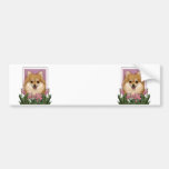 Mothers Day - Pink Tulips - Pomeranian Bumper Stickers