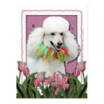 Mothers Day - Pink Tulips - Poodle - White Postcards