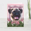 Mothers Day - Pink Tulips - Pug Greeting Cards