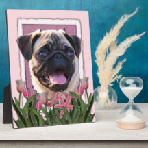 Mothers Day - Pink Tulips - Pug Display Plaques
