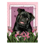 Mothers Day - Pink Tulips - Pug - Ruffy Post Card