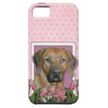 Mothers Day - Pink Tulips - Rhodesian Ridgeback iPhone 5 Cases