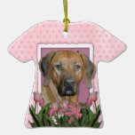 Mothers Day - Pink Tulips - Rhodesian Ridgeback Christmas Tree Ornament