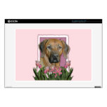 Mothers Day - Pink Tulips - Rhodesian Ridgeback 15" Laptop Skin