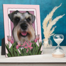 Mothers Day - Pink Tulips - Schnauzer Photo Plaques