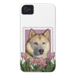 Mothers Day - Pink Tulips - Siberian Husky iPhone 4 Covers