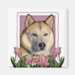 Mothers Day - Pink Tulips - Siberian Husky Magnet