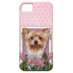 Mothers Day - Pink Tulips - Yorkshire Terrier iPhone 5 Cover