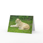 Mother's Day Pride Cards