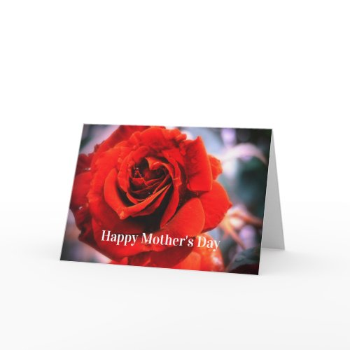 Mother's Day Raindrops Red Rose Card card