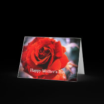 Mother's Day Raindrops Red Rose Card cards