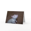 Mothers Day Rat cards
