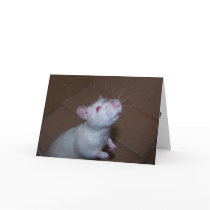 Mothers Day Rat cards by bbrune Mothers Day Rat cards