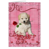 Mothers Day - Red Rose - Bichon Frise Puppy Card