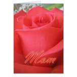 Mothers Day Red Rose Card