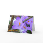 Mother's Day Spring Card cards