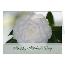 Mother's Day White Camellia Card