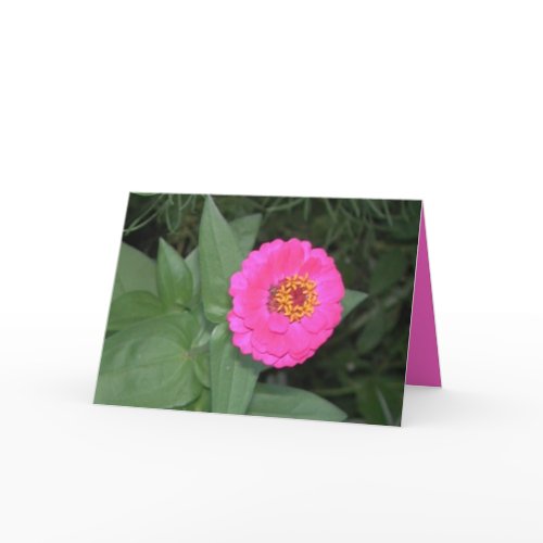 Mother's Day Zinnia card
