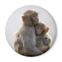 mother's love magnets