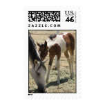 Mother's Love Postage