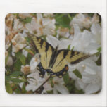 Mothers Love Tiger Swallowtails mousepads