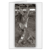 Mother's Pretty Baby Greeting Card