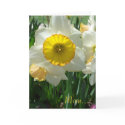 Mother's Sacrifice cards by Killlashandra Mother's Sacrifice cards