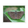 Mothly Intentions Postcard