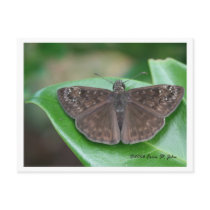 Mothly Intentions Postcard