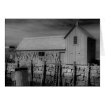 Motif #1 Black n White  Card cards