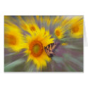 Motion , CARD