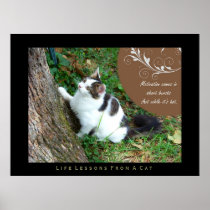 Motivation Life Lessons From a Cat Fine Art Print