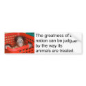 Motivational Animal Treatment bumper stickers by Rebecca_Reeder Motivational Animal Treatment bumper stickers